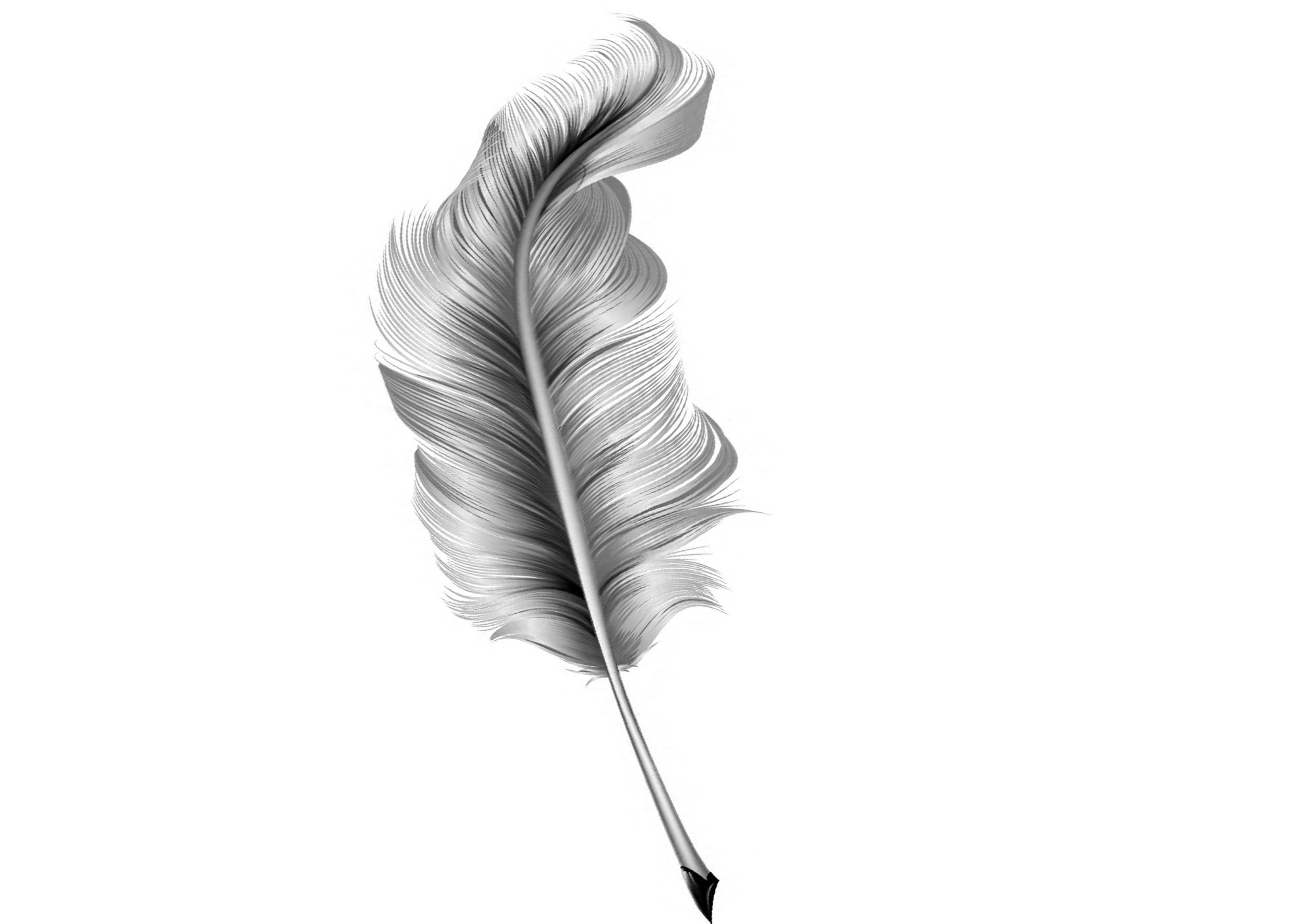 plume